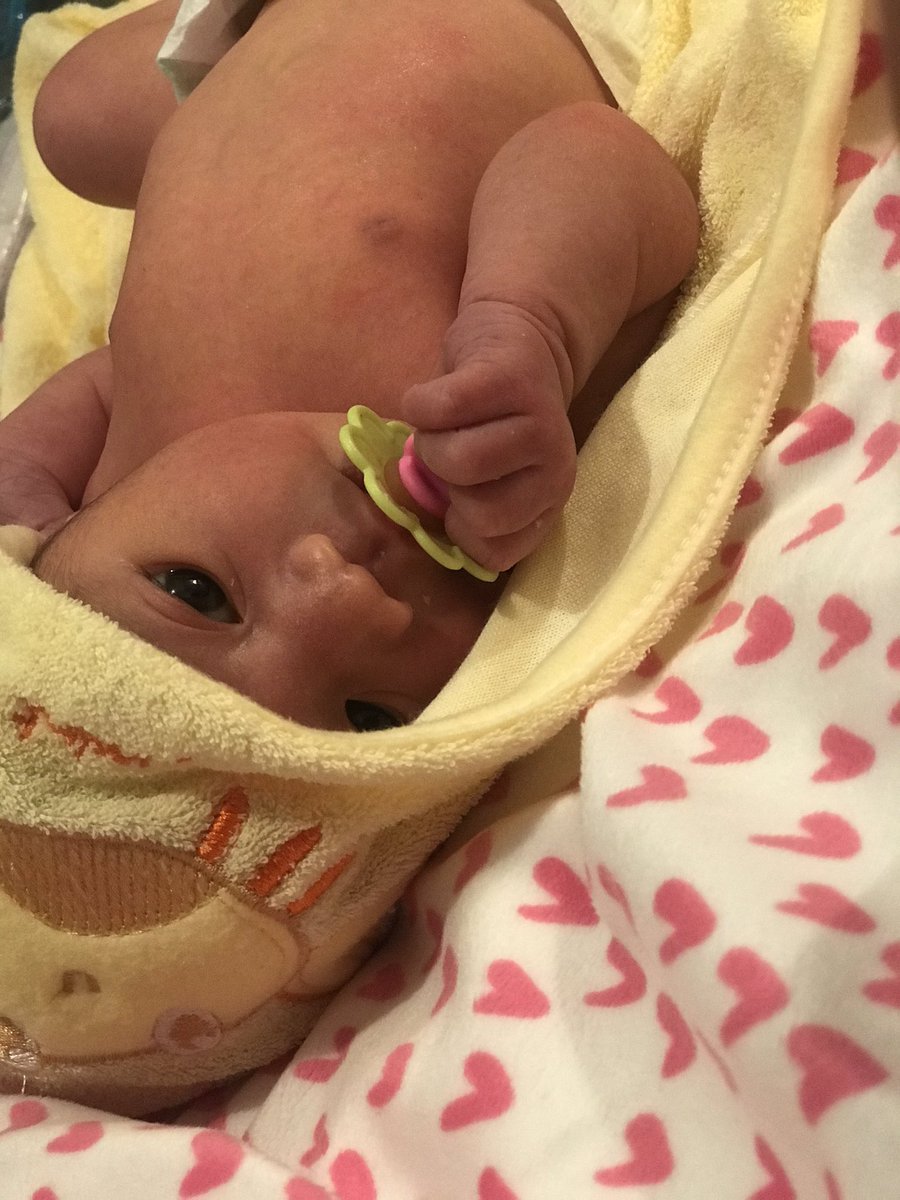 MichelBernal's tweet photo. No sabía lo bonito que era tener un sobrino hasta que llegó la bolita de carne a mi vida🥰✨ https://t.co/DqS0upSwdK