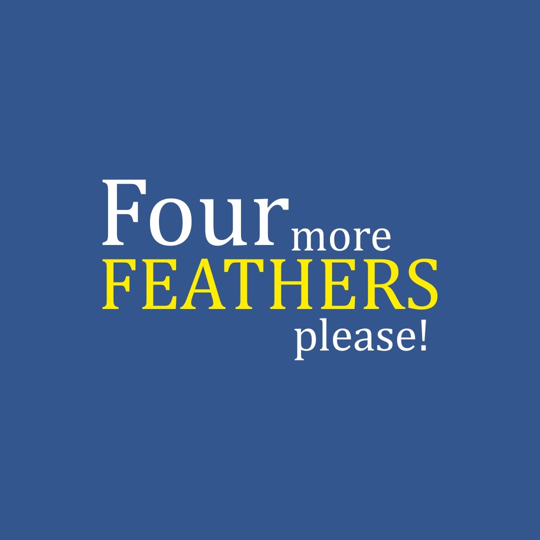 Four Feathers Group tweet media