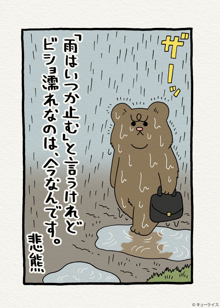 止まない雨はないというけれど 悲熊のつぶやきが深いと話題に 話題の画像プラス