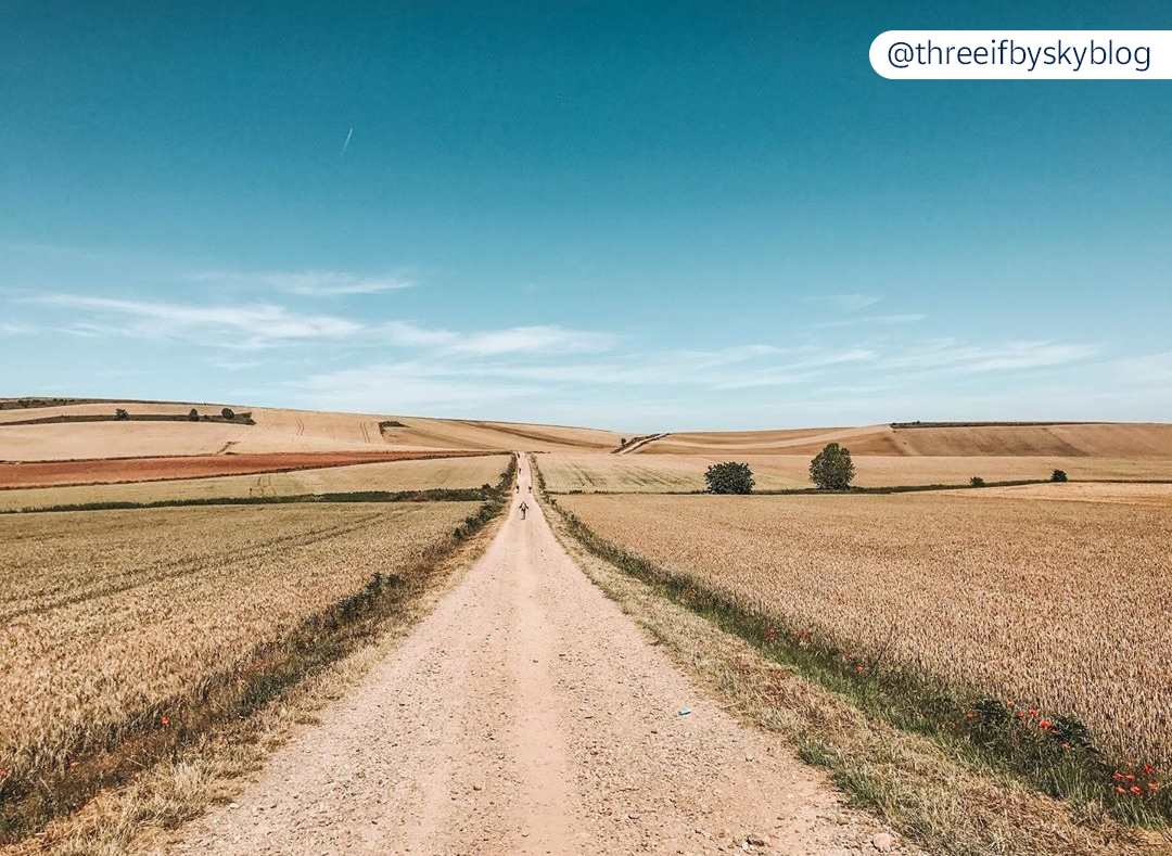 elcaminocorreos's tweet photo. We keep on filling in social media with the spirit of the Camino de Santiago. Here you can see some memories that you share with the hasthags #ShareyourCamino and #StateHome. More info: https://t.co/342l9xAQgQ https://t.co/3P0ZStiKJ5