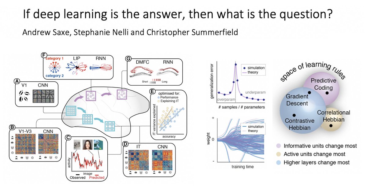 summerfieldlab's tweet photo. Neuroscientists are turning to deep networks as computational theories for biology. But can they be used to make falsfiable predictions about neural representation, dynamics, behavior, and cognition? Answers in a new review with @SaxeLab @steph_nelli 
https://t.co/DBvcCIcQn1 https://t.co/vAIBLbwAgg