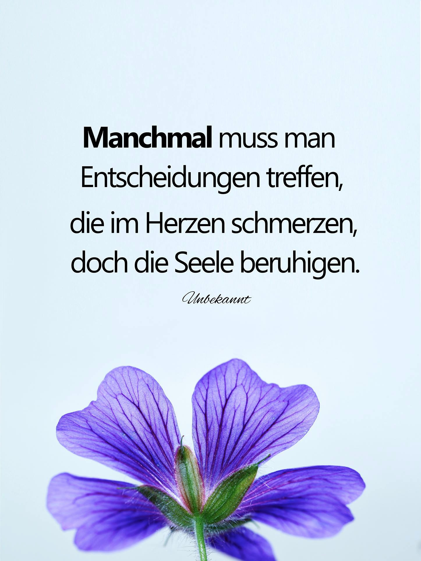 Get Manchmal muss man entscheidungen treffen Desktop Wallpaper Free