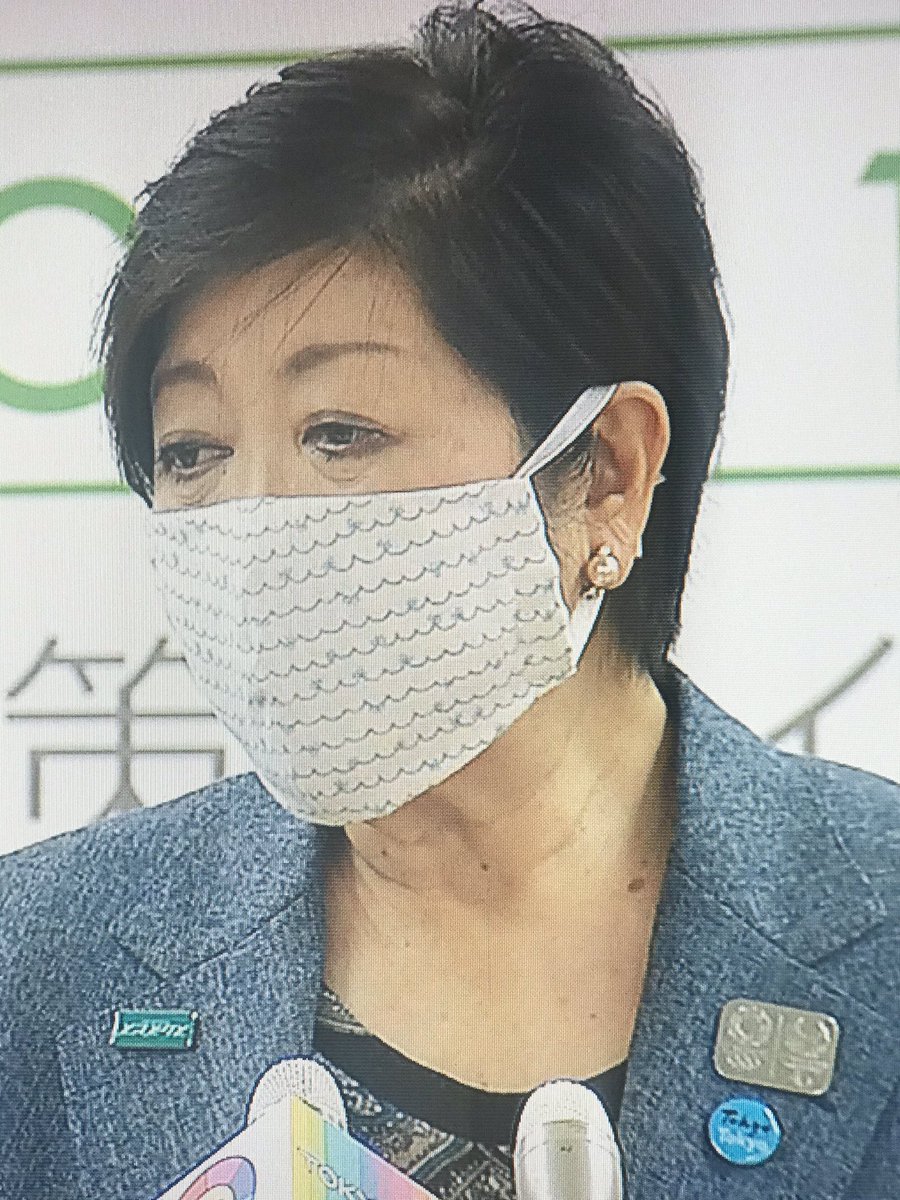 小池百合子のマスクがかわいい 生地はどこで買える 素材が意外だった Sani Lessons