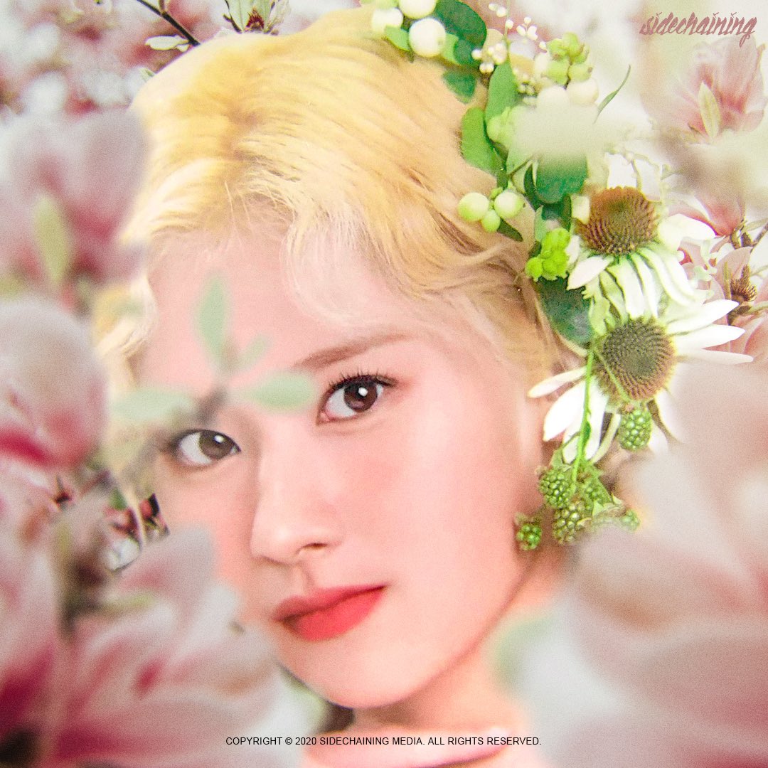 sidechaining's tweet image. Sana edit @JYPETWICE @JYPETWICE_JAPAN 💖🌸 // including source images to see before and after the edit

#sana #twiceedit #sanaedit #kpopedit #kpopmanips #kpopmanip #twicesana #sanatwice #사나