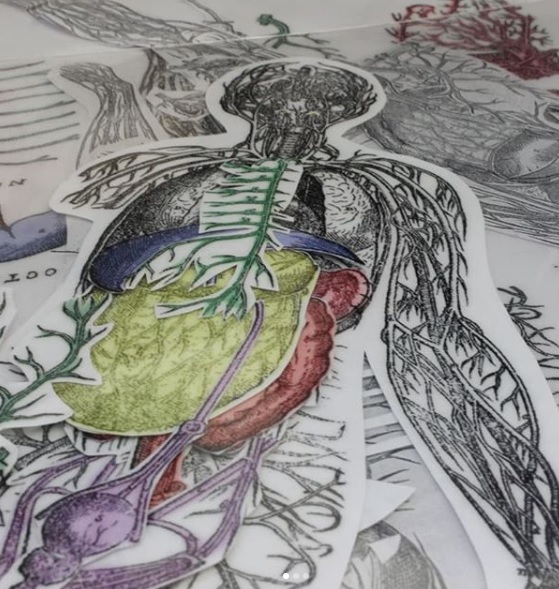RCPmuseum's tweet photo. Morning! In our own small way we've added to the profusion of lockdown crafting options. Why not make your own Vesalian anatomical model? Based on the 1543 anatomical treatise 'De humani corporis fabrica'. Download a kit here: https://t.co/EHK4CraotJ #RCPUnderTheSkin https://t.co/37J0IUnD2K