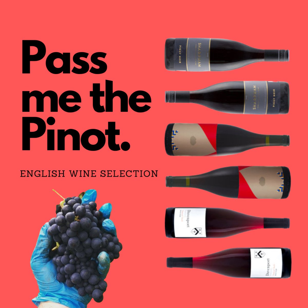 Our ‘Pass me the Pinot’ selection box will open/blow your mind 🤯🍷 #isitreallyenglish? 🔥🍷

emergingvines.co.uk/wine-shop/pass…