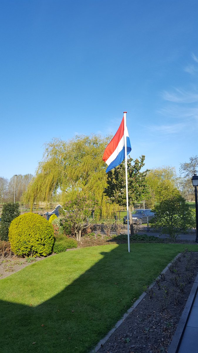 johan witteveen tweet media