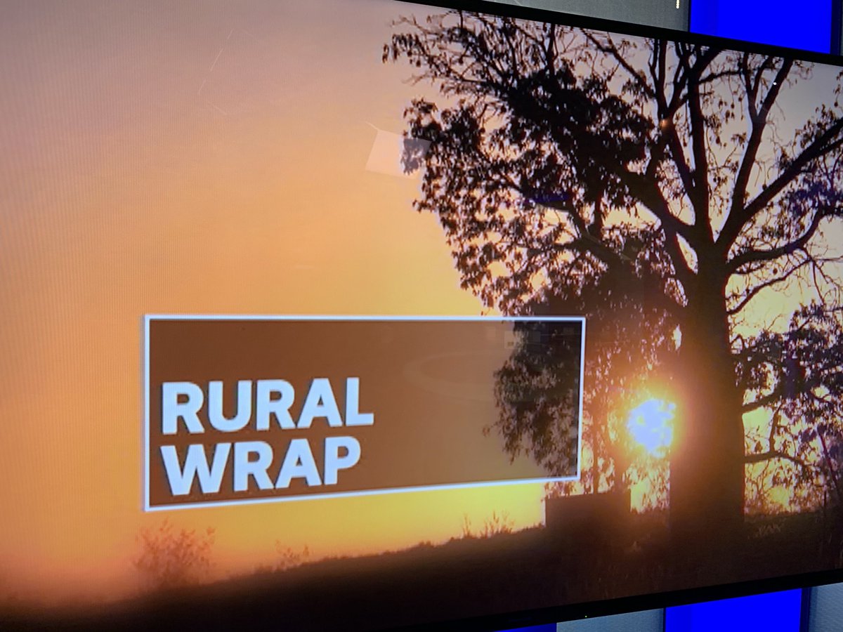 MattBrannRURAL's tweet photo. RURAL WRAP tonight on @abcnews 7pm NT:

•Live cattle price to #Indonesia on the slide ⬇️
•Batchelor meatworks ramping up towards 200head/day🐂🐃
•Members of the northern cattle industry flock online for a virtual field day 💻 https://t.co/TJKRpqvavn