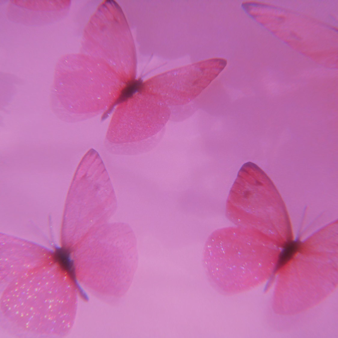 * ( 🦋 # 000000 )

      𝓝ame ควีนเพิร์ล 1 9 9 6 ’𝓼 𓈒 ˙ ♡̷
˙ 𓈒  ✿  ˓ แลกฟอล 𓐄 ตามทัก ˒  💅🏿

       、ยพท ลฟตท : • 🧫 ∗