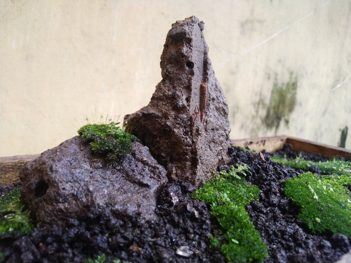 Agar bisa liburan di rumah, oke saya buat liburan #dirumahaja