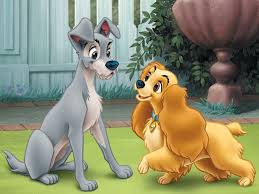 merlinpapin3's tweet photo. Je déroule mes 30 de #MonTopAnimationDisney en l'honneur de l'arrivée de #Disney+ en France (sur 144)
- 14 - #LaBelleteleClochard de #ClydeGeronimi, Wilfred Jackson et Hamilton Luske avec Belle, Tramp, Spaghettis, Si et Am, Bull, Le Castor,
@tbarnaud @Jouxplane83 @FredOL69007 https://t.co/iCbsKuIQlg