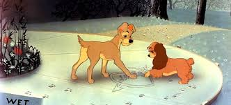 merlinpapin3's tweet photo. Je déroule mes 30 de #MonTopAnimationDisney en l'honneur de l'arrivée de #Disney+ en France (sur 144)
- 14 - #LaBelleteleClochard de #ClydeGeronimi, Wilfred Jackson et Hamilton Luske avec Belle, Tramp, Spaghettis, Si et Am, Bull, Le Castor,
@tbarnaud @Jouxplane83 @FredOL69007 https://t.co/iCbsKuIQlg