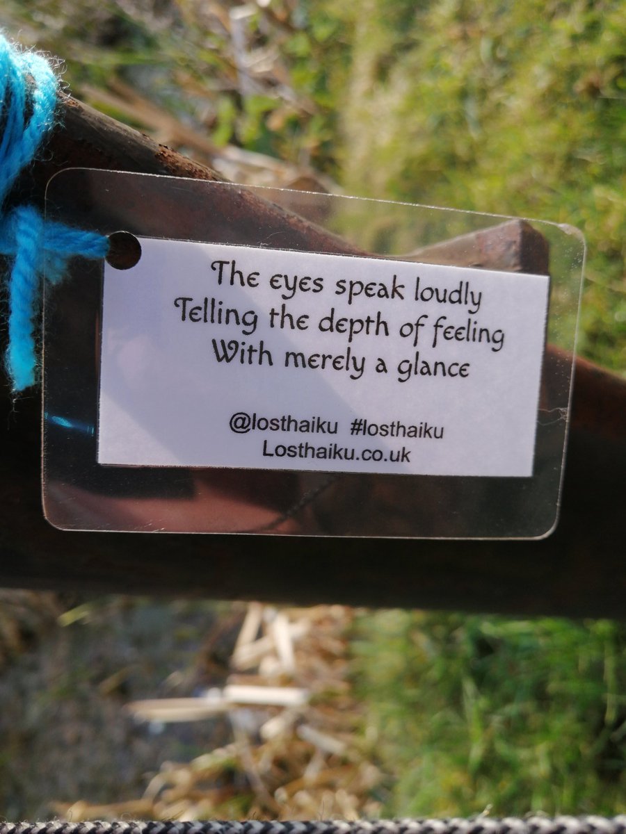 Neilcroft2's tweet photo. @LostHaiku
Found alongside darlaston canal https://t.co/coyT3DgOVD