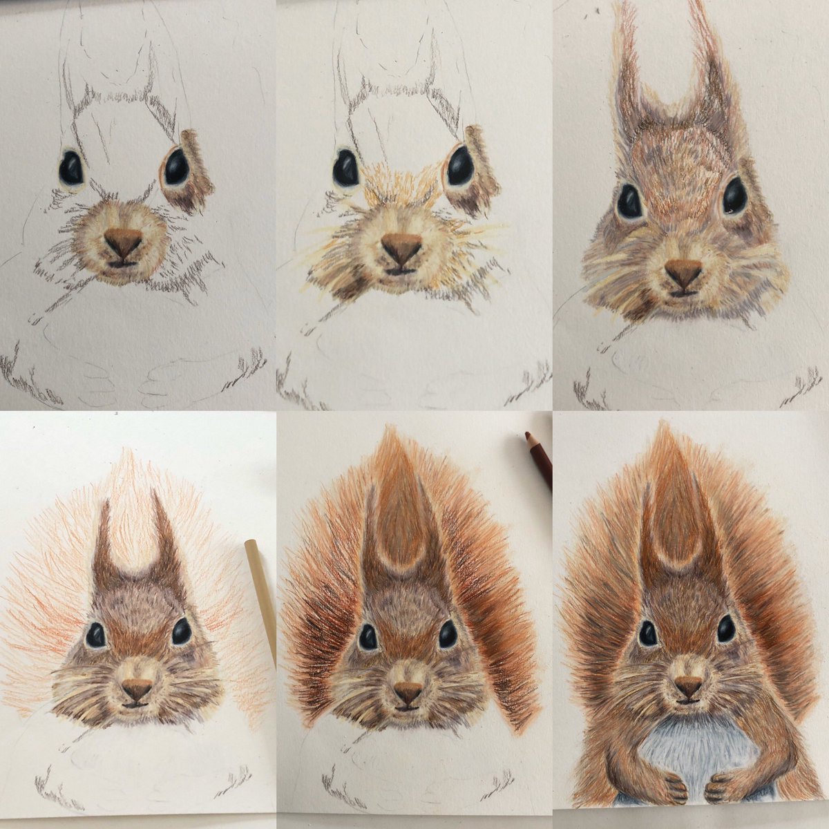 Mrs Jephcote’s Easter drawings. Step by step stages if students are wanting to have a go.