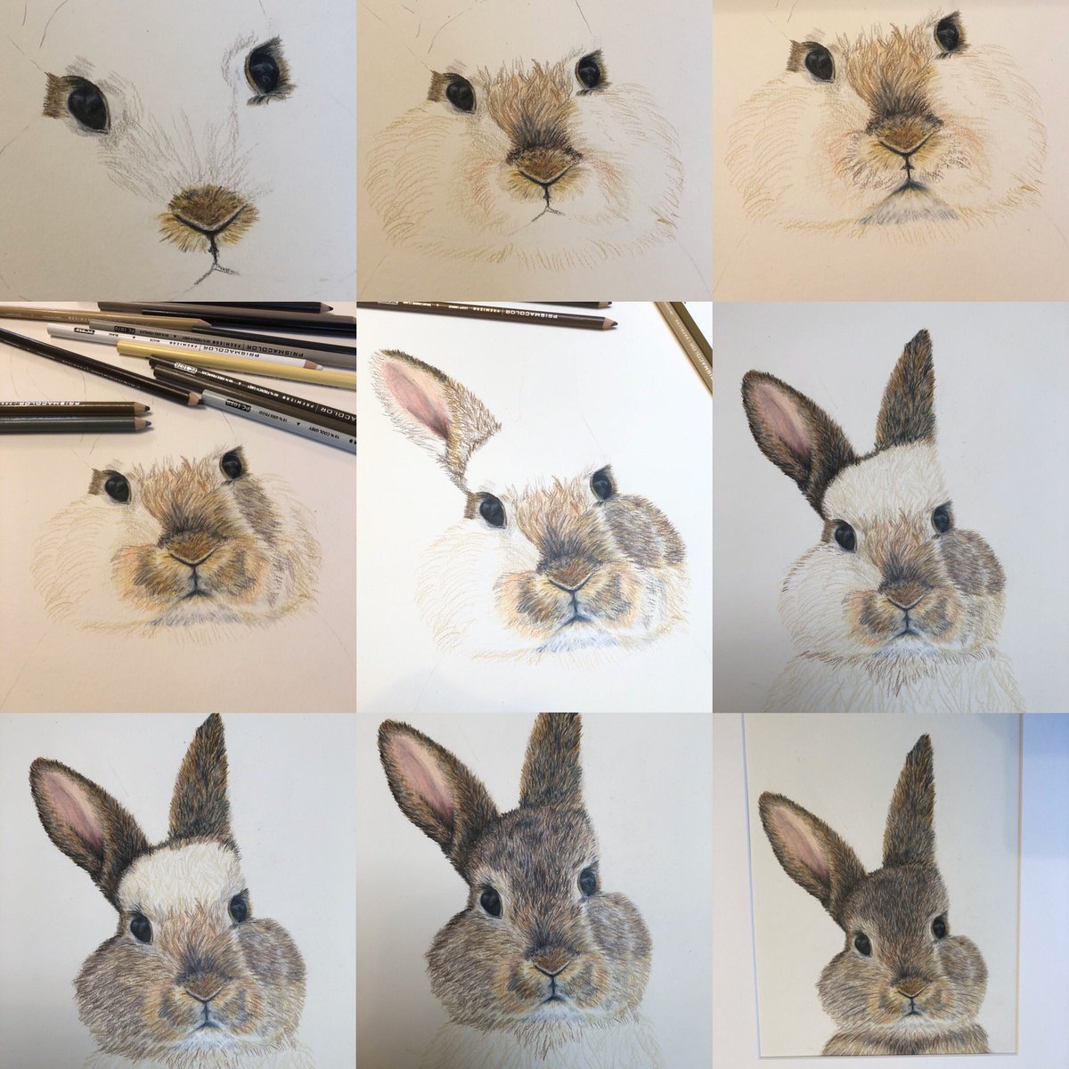 Art at Lutterworth College tweet media