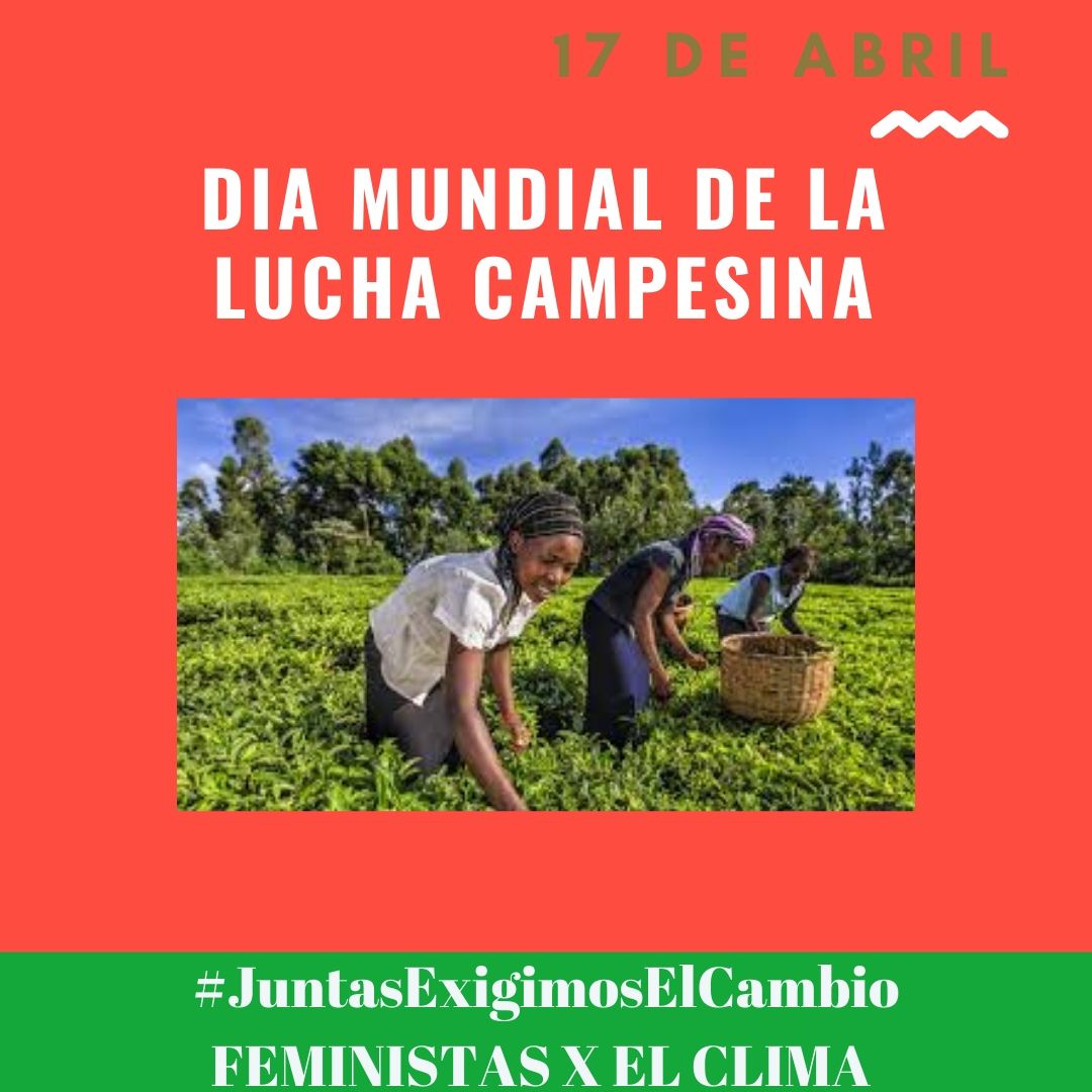 FeministasClima's tweet photo. ¿SABÍAS QUE...EL 60% DE LAS PERSONAS SUBALIMENTADAS EN EL MUNDO SON MUJERES Y NIÑAS?
#JuntasExigimosElCambio https://t.co/VWJGRLlFFH