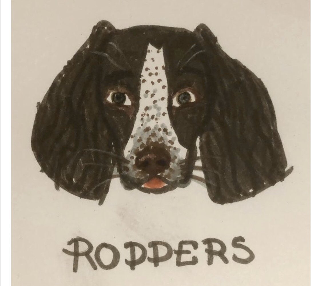 Lovely drawings done by Lilly of her dog. Really nice to see what students have been doing with their spare time at home.