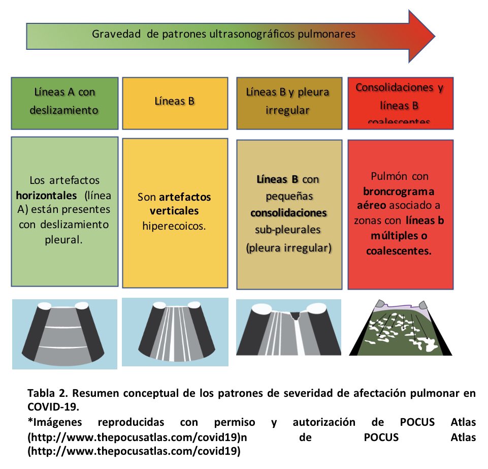 PleuralPOCUS's tweet photo. La gravedad de los patrones #ECOGRAFICOS en pulmonares en #COVID son un gran aliado en la valoración y seguimiento.
ÚSALOS.
#POCUS https://t.co/qKwgqGGBFe