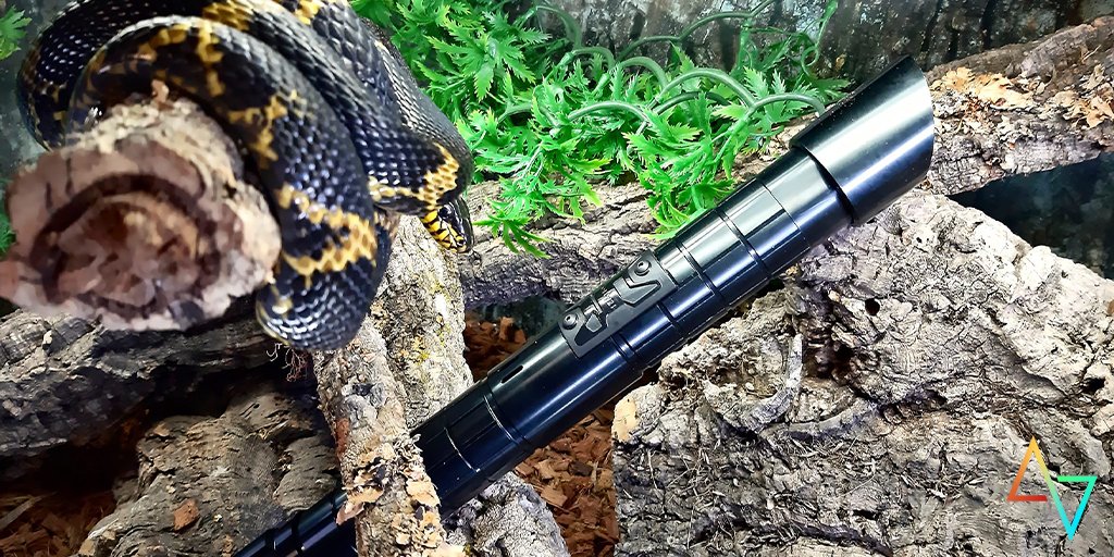 SolaariSabers's tweet photo. It's Solaari Time!
What an exotic one! Who thought we could see our sabers with such a beautiful creature.
Share with us at #Solaaritime to see you in the next episode ๐
#lightsaber #martialarts #solaari #snake #coldbloodedpets #Snake https://t.co/O6vETUq6YS