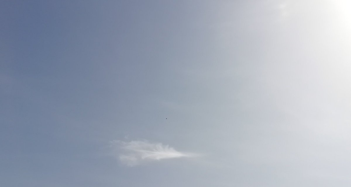 camill_di's tweet photo. Ho fatto di un mio pensiero un sogno e dei miei gesti meraviglia.  All'improvviso una tempesta spazzo' via ogni cosa "ma fui forte a tener stretta nella mia essenza la capacità di continuare a sognare".
Mary 🌼
 #HoSbagliatoSogno #VentagliDiParole
#scritturebrevi
#frasiecolori https://t.co/p85NcodOsP