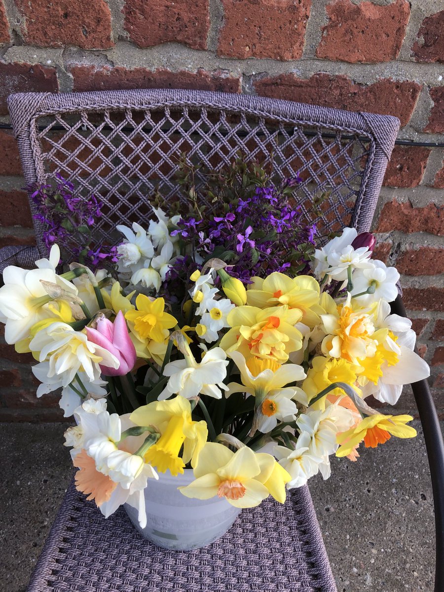 The advantage of a coastal flower farm. They just keep growing #happiness #brightens your day #florist #eastyorkshireflowergrower
