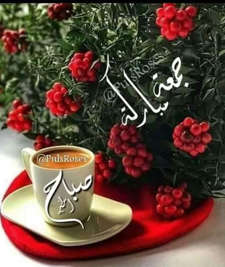 Cap. Mohammed Nasr (@capmohammednas8) on Twitter photo 