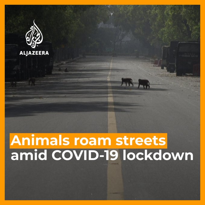 Ενσωματωμένο βίντεο