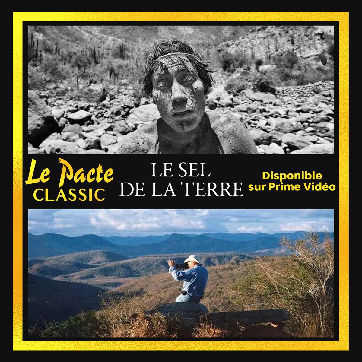 JOUR 33. C'est ce que vous verrez de plus beau aujourd'hui : le documentaire  #LeSelDeLaTerre de Wim Wenders suit e photographe Sebastião Salgado à travers les continents.Nommé aux Oscars et lauréat aux César.  #LePacteClassic Dispo sur  @PrimeVideoFR   https://bit.ly/LP_SelDeLaTerre 