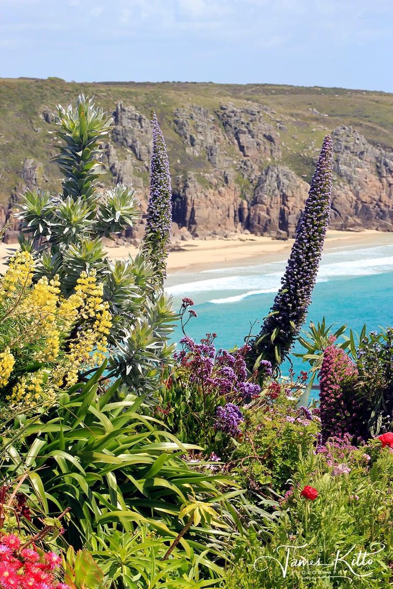 Hello! It's bit of a dull day, here in Cornwall - so here's a splash of Porthcurno colour to brighten things up! This is the rather tropical view from the Minack Theatre. Stay safe. James 〓〓 © James Kitto Photography 2020 Please feel free to 'Like' & ‘Retweet’. @minacktheatre