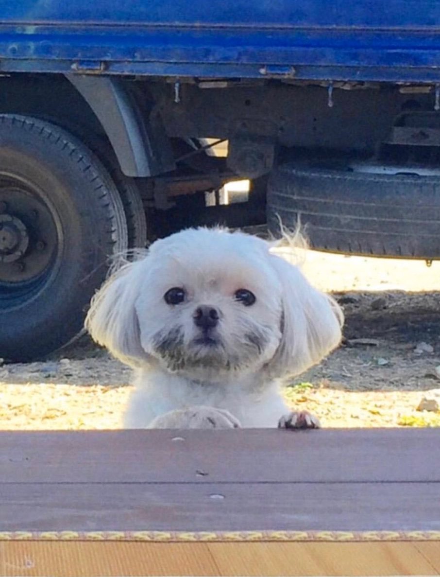 jaerong and taeyong getting caught stealing baked sweet potatoes from the furnace