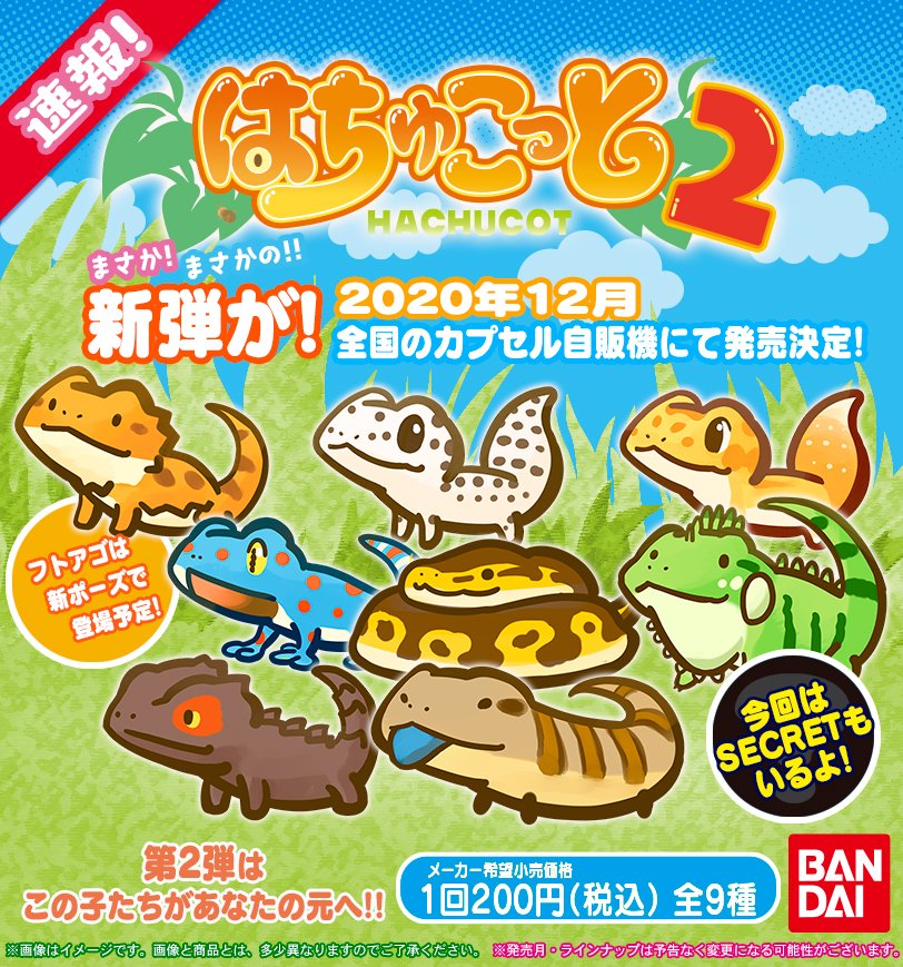 ツク之助 フトアゴ絵本発売中 Auf Twitter はちゅこっと第二弾 発売決定 大好評のカプセルトイが パワーアップして再登場 皆さんの熱意にお応えして新作はアンケート上位からピックアップ たくさんの回答ありがとうございます 爬虫類好きみんなで作るはちゅ