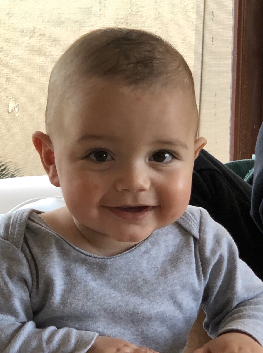 Ola Al Awamleh-Masri tweet media