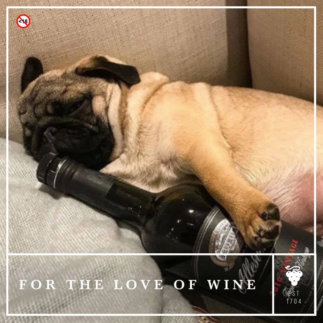 So happy it's Friyay! What are your plans for the weekend? #FridayFunny #AllesverlorenWine #ForTheLoveOfWine #fridayfunny