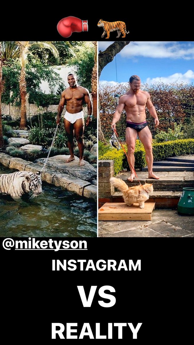 🥊 🐅 <a href="/MikeTyson/">Mike Tyson</a>