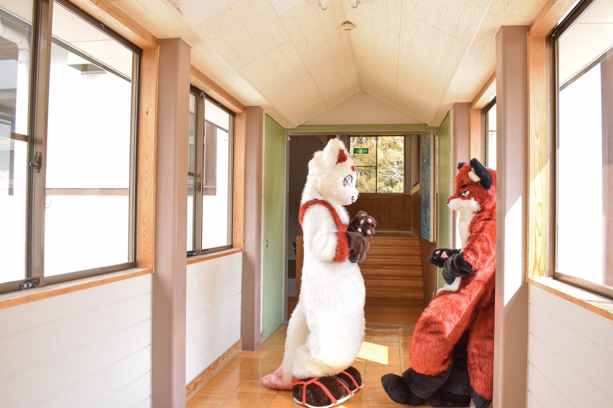 nanon_1st's tweet photo. クラスメイト〜って感じ、仲良し〜って感じ
#FursuitFriday
#TDOS3
📸→@BeelFur https://t.co/Q3gSvKpE7e