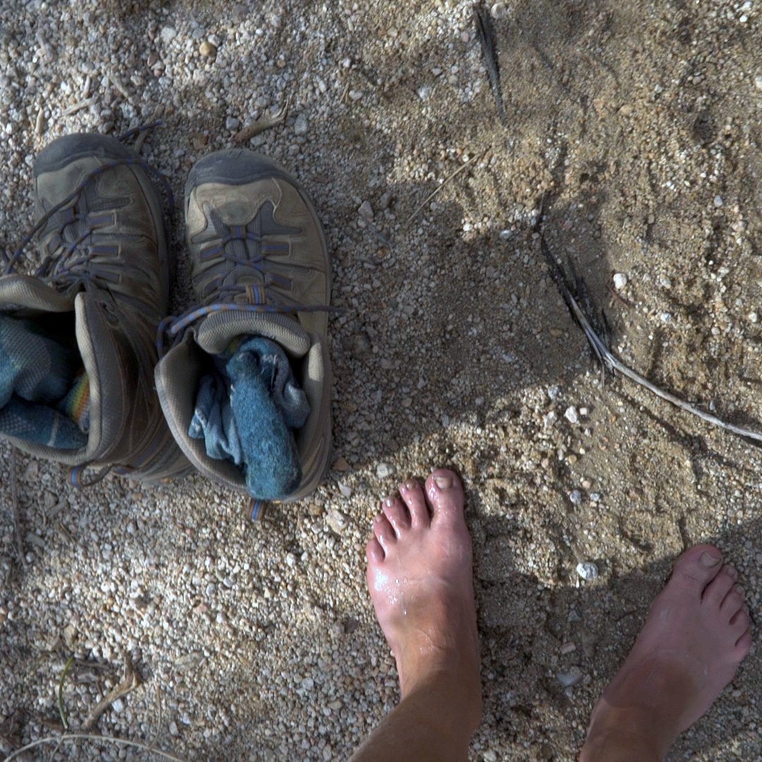 #TGIF #thankgoditsfriday (but is it Friday? Who even knows anymore?)

Weekend goal: Feel the Earth with my bare feet (while practicing safe distancing, of course.)

What's on your agenda this weekend? 
💧
💧
💧
💧
💧
💧
#covid #covid19 #corona #coronavirus #socialdistancing