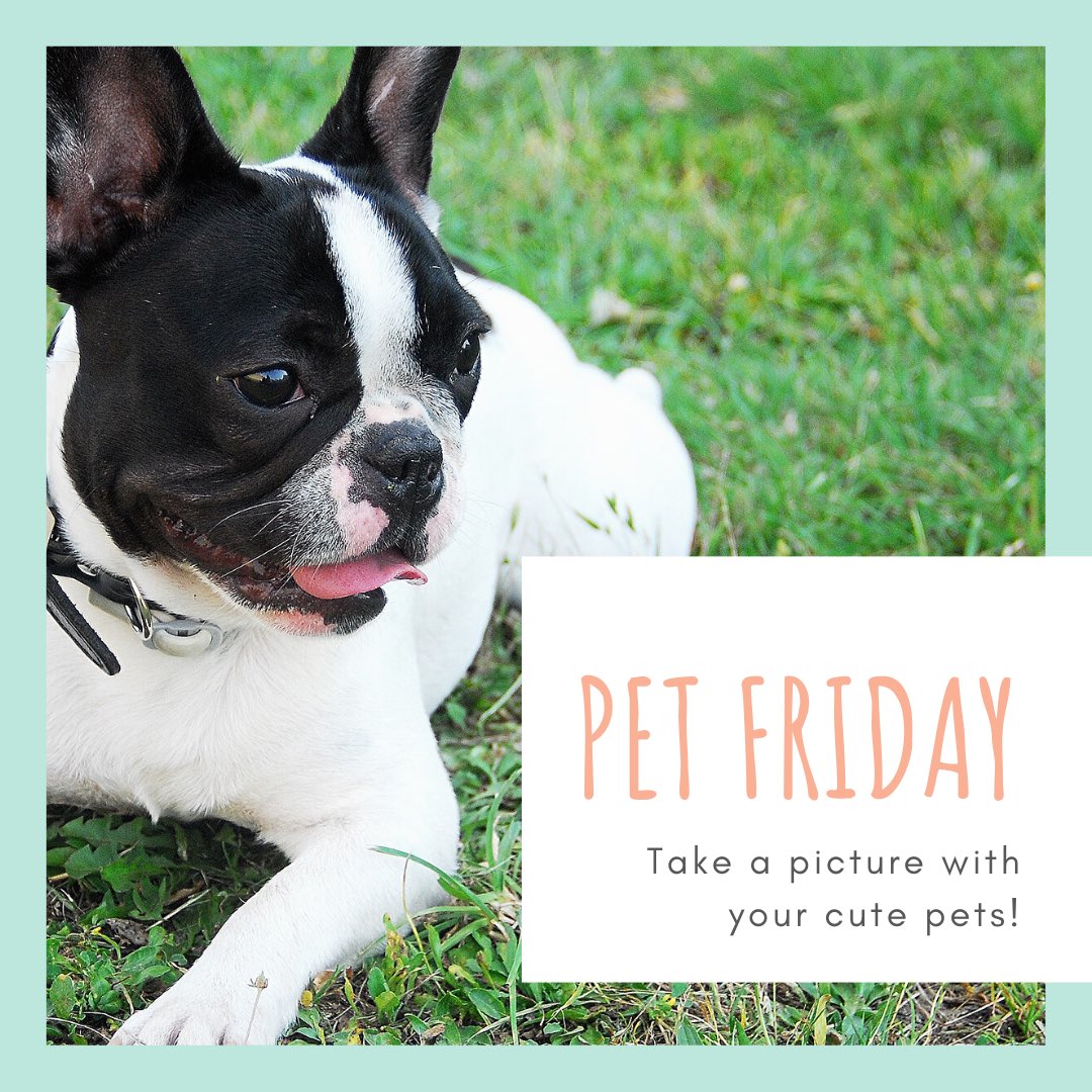 We 💚 Pets! Last day of Spirit Week!