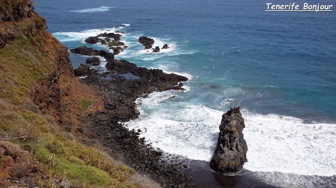 TenerifeBonjour tweet media