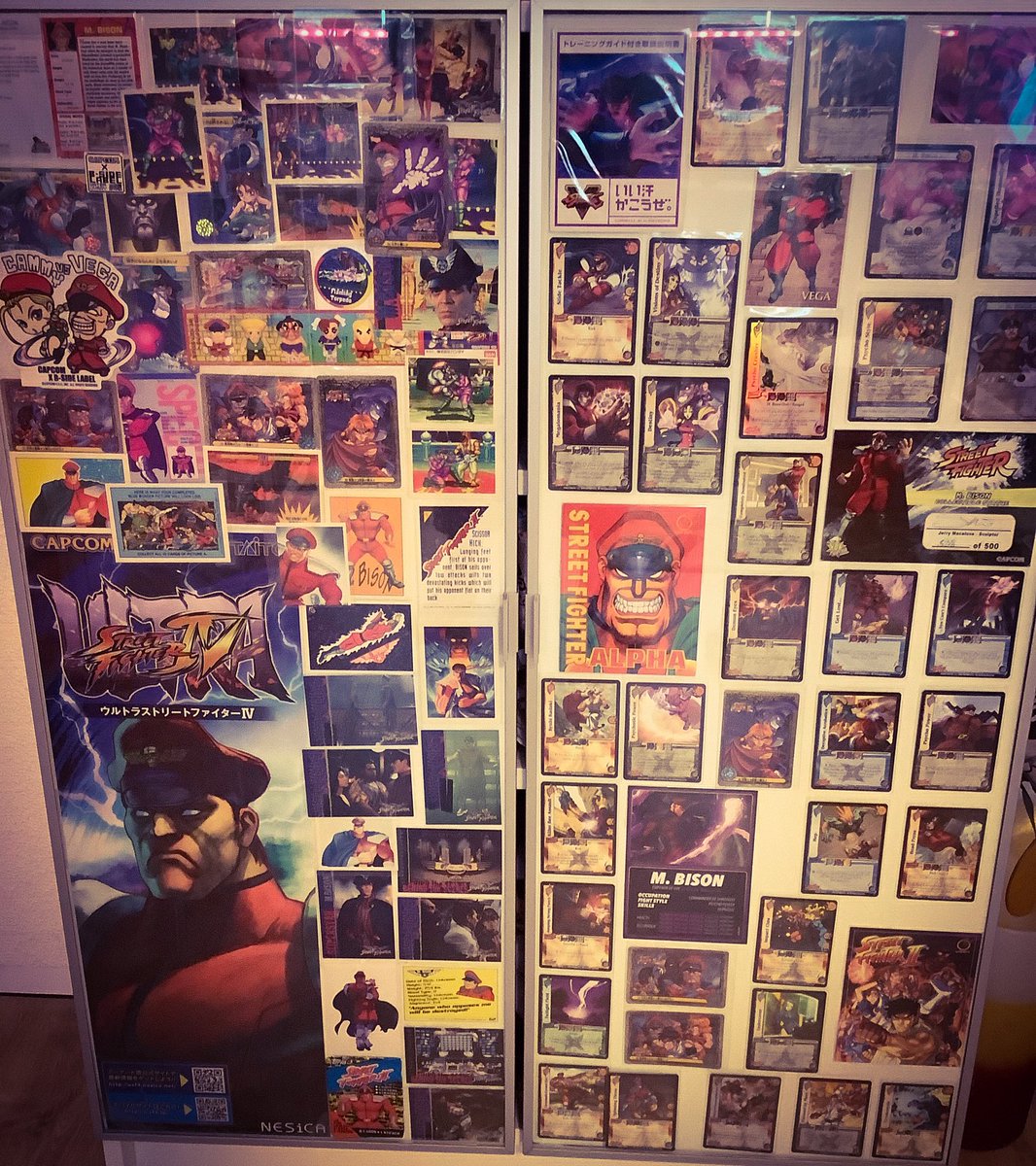 ⚡️ Shadanouk | Lord Bison has returned 🐎 tweet media