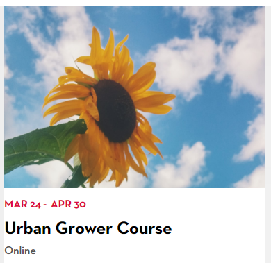 DCDPR's tweet photo. #DPRUrbanGrower is updated! 2 New Free Classes! "Urban Composting" and
"Critter Proofing, Season Extension, and Garden Carpentry" https://t.co/8QB0Gd5ns7
BEGINNER GARDENERS -Sign up for "DPR Basics of Urban Gardening" https://t.co/SoMAk0FG5D Social Distancing w/DPR #StayHomeDC https://t.co/mz7ev7RSYf