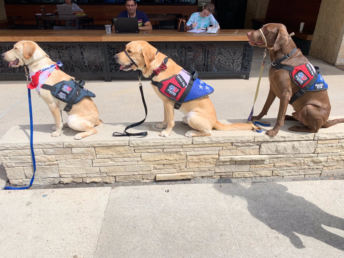 PatriotPAWS tweet picture