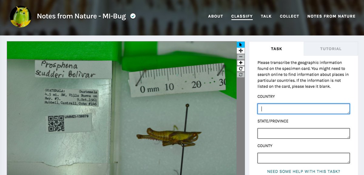 Ngss Tweeps On Twitter Michigan Project Umich Needs Help Cataloging Insects No Id Needed Just Transferring Information While You Look And Learn About Amazing Insects Citizenscience Find Notes From Nature Mi Bug The Zooniverse