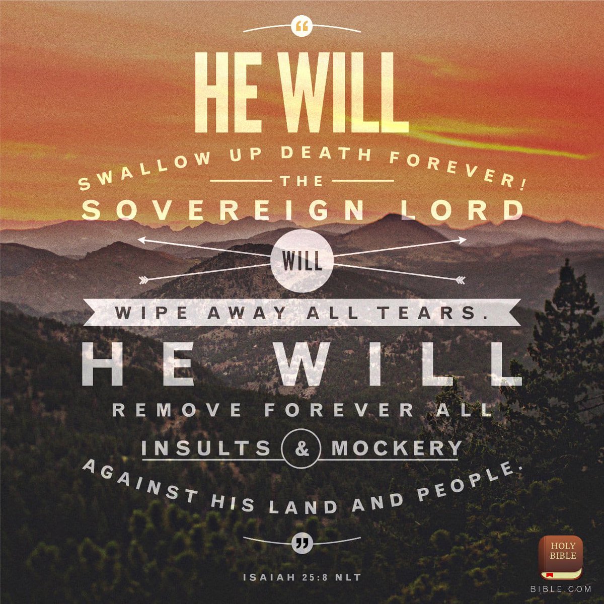 MikeforJesus's tweet photo. https://t.co/xYgtKhwFdg https://t.co/a9tSPYL3Ag