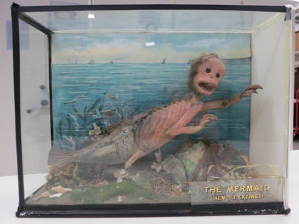 Our  #CreepiestObject has to be this ‘mermaid’...   #CURATORBATTLE  #TroublingTaxidermy