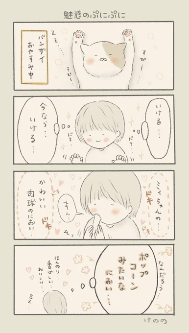 魅惑のぷにぷに? 