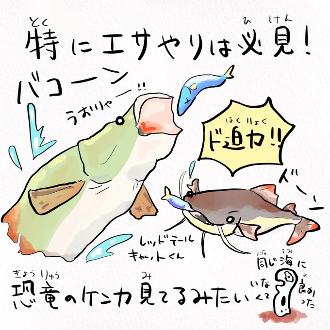 恐竜好きのお子さんと行っても楽しんでもらえると思うなぁ☺️(2/2)
#アクアトトぎふ #休館中の水族館にエールを 