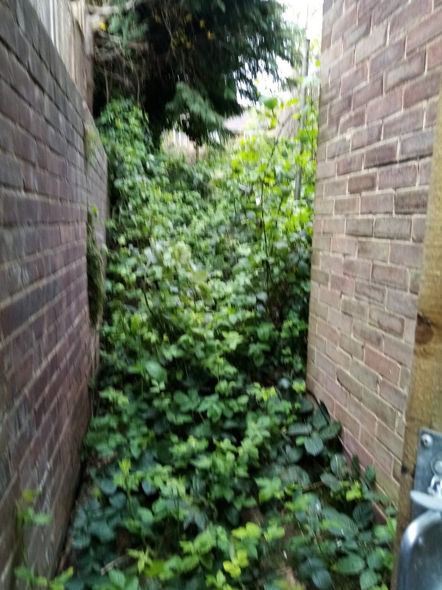 pgtimebank's tweet photo. Some of our members were able to respect social distancing and help an isolating elder get some daylight into her back window. ‘Now I can sit on the step with my morning cuppa’ We will be back! #wellbeing #COVID19 #timebanking #PhysicalDistanceSocialConnections https://t.co/rcwGFuScBf