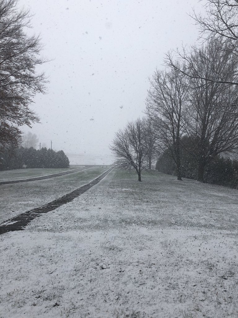 stephdrayer's tweet photo. @VittoriaOnt weather in a single day ....morning afternoon and evening 🤪 https://t.co/YEtdqltJyw