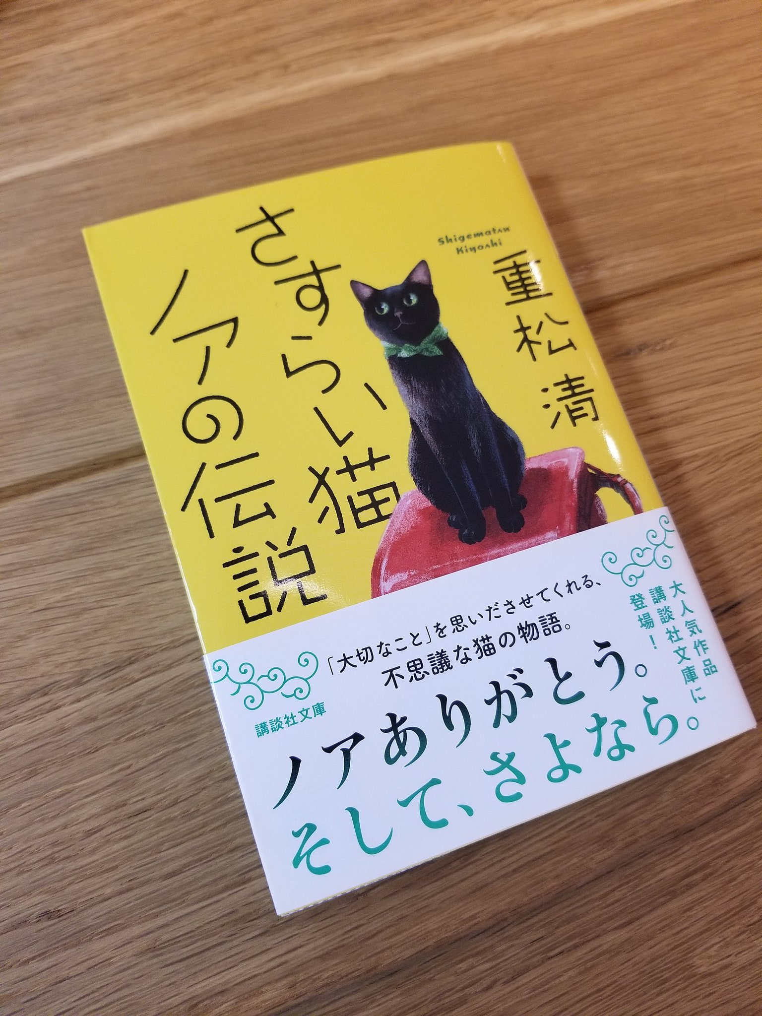Nao Kodaira 小平奈緒 V Tvittere 元気ハツラツ 勇気リンリン 根気コツコツ さすらい猫ノアの伝説 重松清 さん この世は 別の人の心が見られないから こわいところなんだよね すぐそこのたからもの 吉本ばなな さん Nao Kodaira 小平奈緒 V Tvittere 元気ハツラツ 勇気リンリン 根気コツコツ さすらい猫ノアの伝説 重松清 さん この世は 別の人の心が見られないから こわいところなんだよね すぐそこのたからもの 吉本ばなな さん
