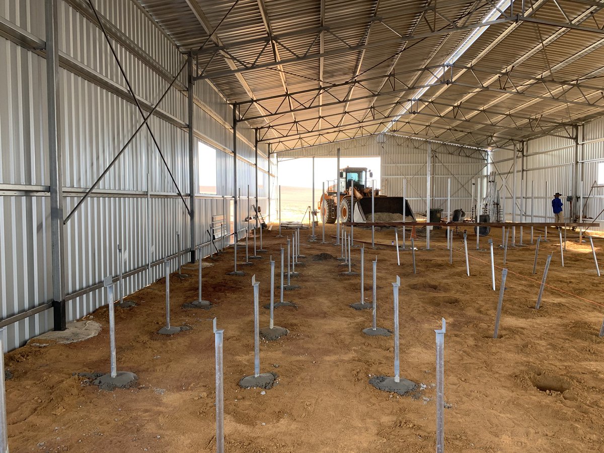 CarimorSheds's tweet photo. Progress on our latest shearing shed is coming along nicely with a lot achieved over the last week. Shed is now fully sheeted, internals marked out with holes dug and most stumps cemented in.
#construction #steelfabrication #sheds #shearingsheds #geraldton #midwest #shedbuilder https://t.co/uaDbWJT7iG